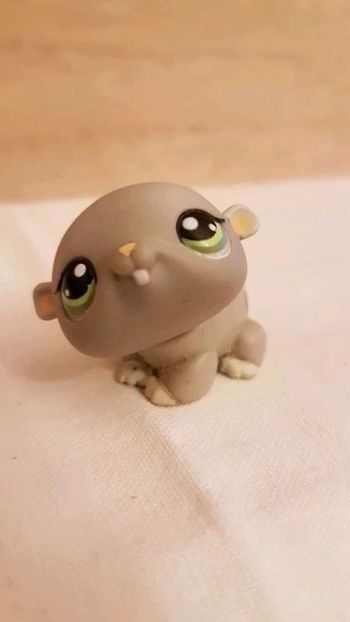 Hamster PetShop gris