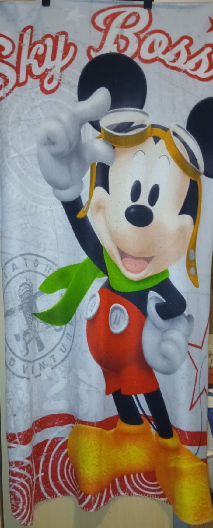 Plaid Mickey