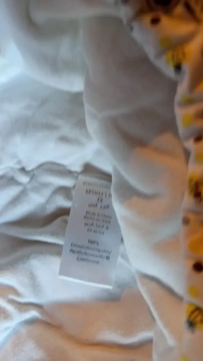 Turbulette orchestra mixte T2 - photo numéro 5