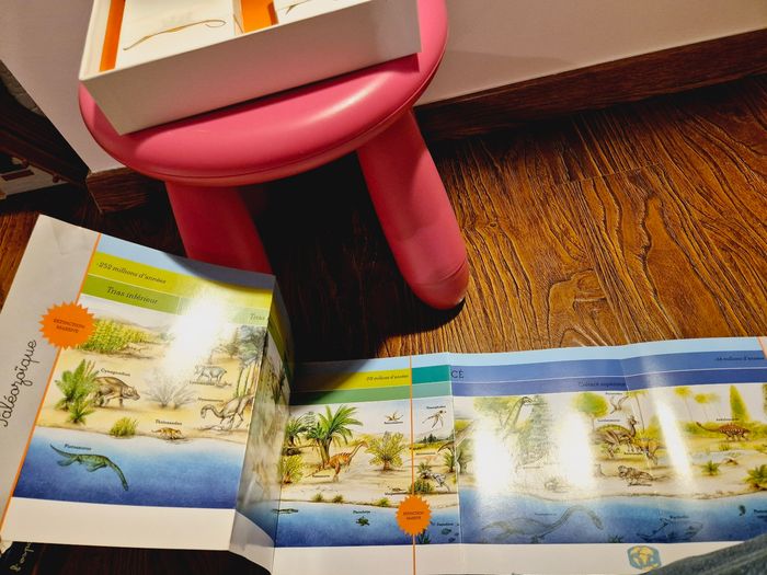 Mon coffret montessori Dinosaures - photo numéro 2