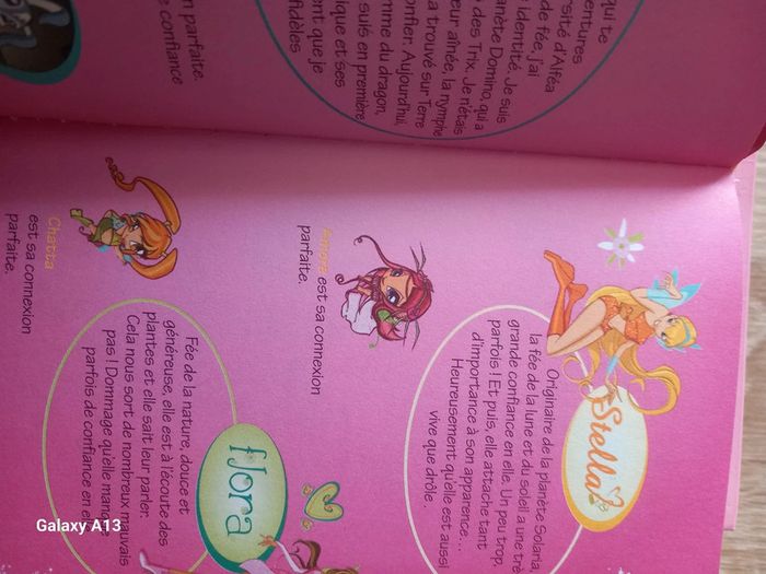 10 livres winx - photo numéro 3