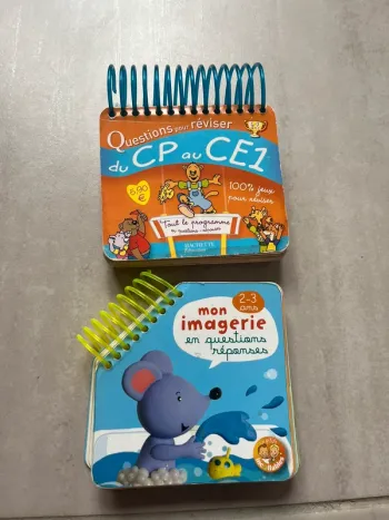 Lot de 2 livres à spirales questions réponses maternelle et CP CE1