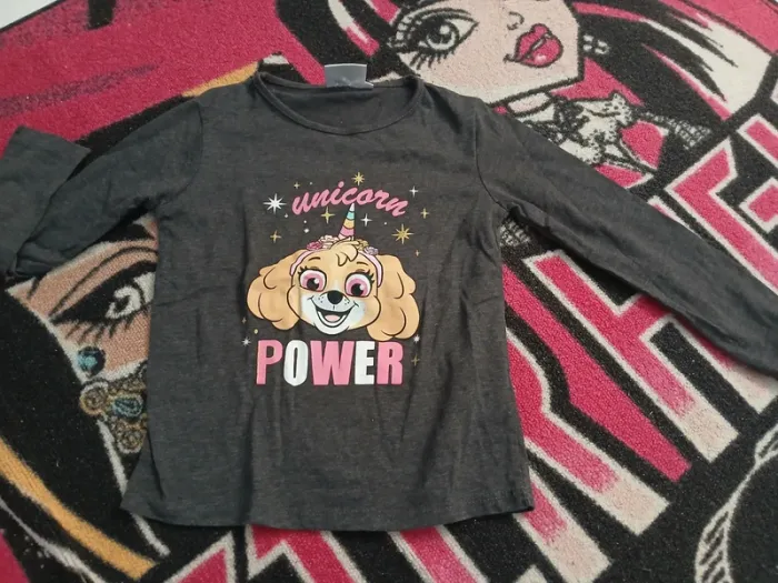 Lot pat patrouille fille - photo numéro 8