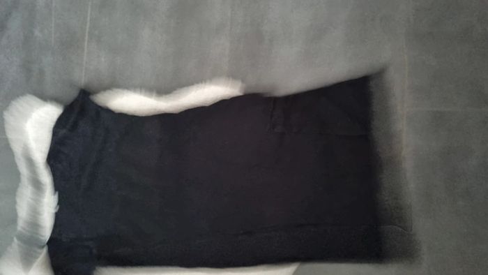 Robe tee shirt ZARA s 36 noir parfait état - photo numéro 6