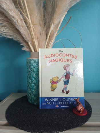 N°128 Audioconte magique Disney Winnie l'ourson une nuit à la belle étoile 