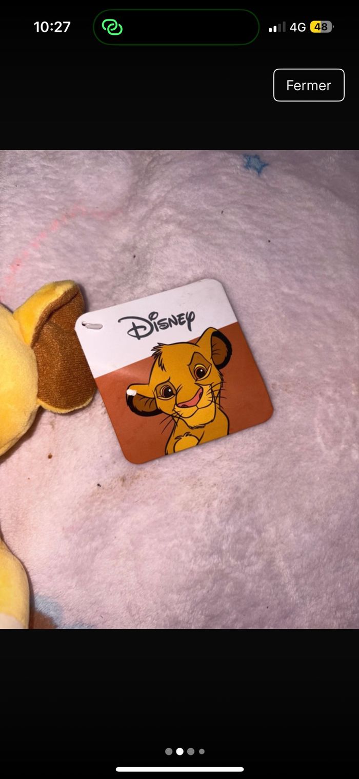 Simba Disney roi lion - photo numéro 2