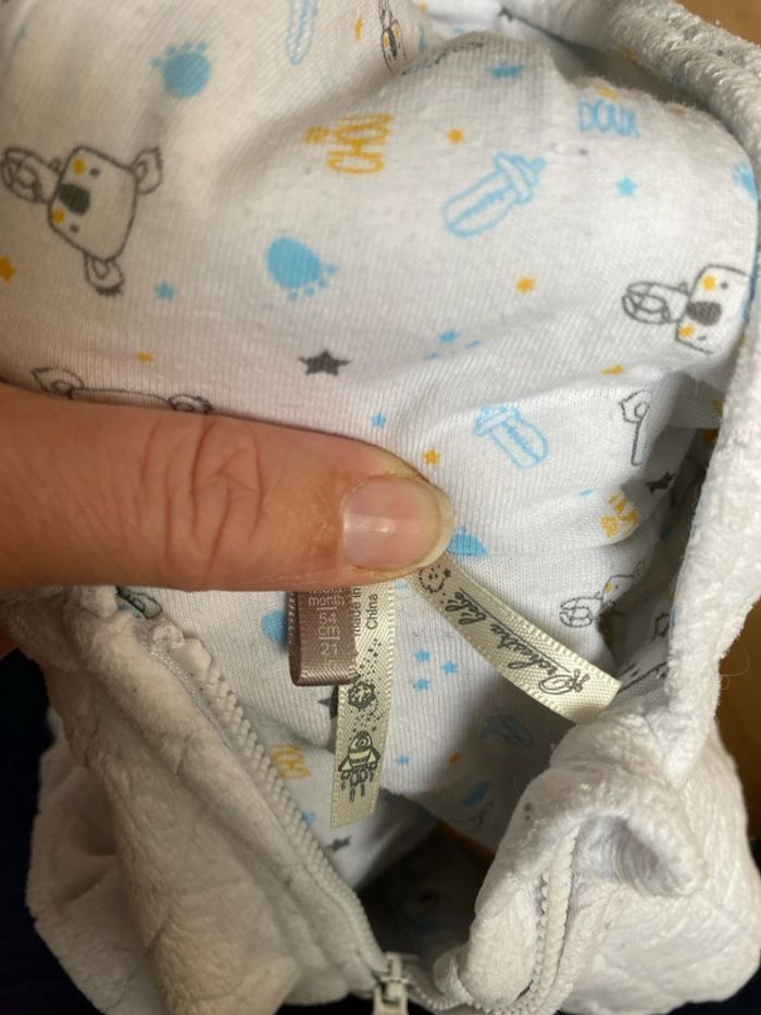 Ensemble koala - photo numéro 13