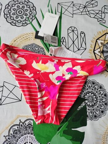Culotte