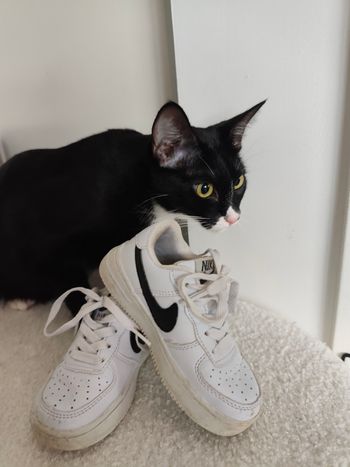 👟 Nike Air Max enfant – taille 26