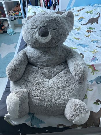 Fauteuil koala 