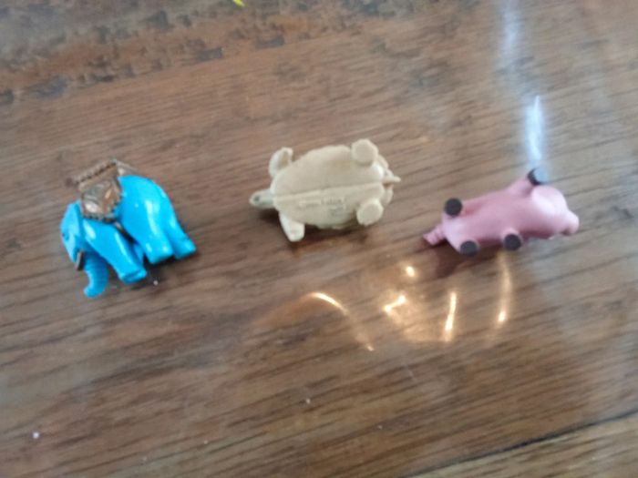 Petit animaux - photo numéro 2