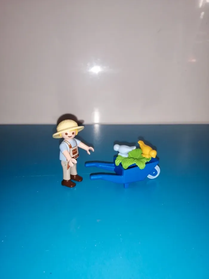 Thème* enfant & animaux / brouette