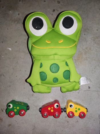 Mon premier circuit grenouille brio