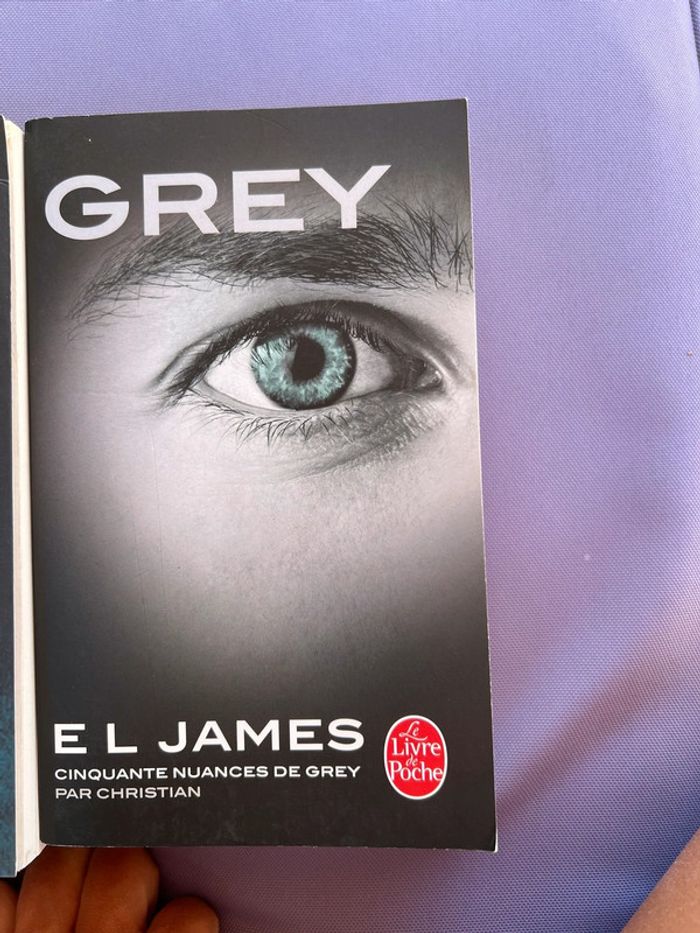 Cinquante nuances de grey - photo numéro 5