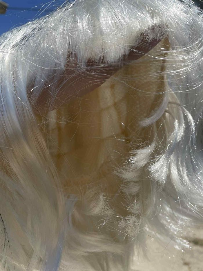 perruque - photo numéro 3