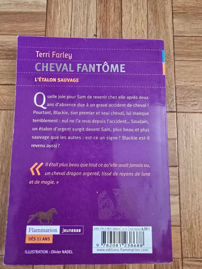 Livre "Cheval fantome" tome 1 - photo numéro 2
