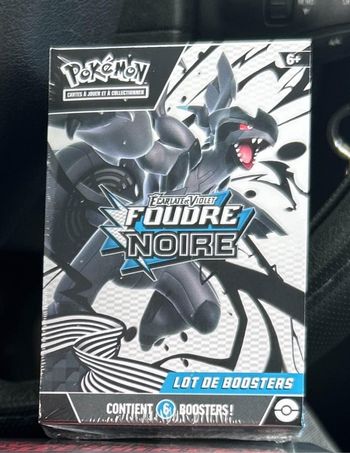 Pokémon - flamme blanche et foudre noir scellés