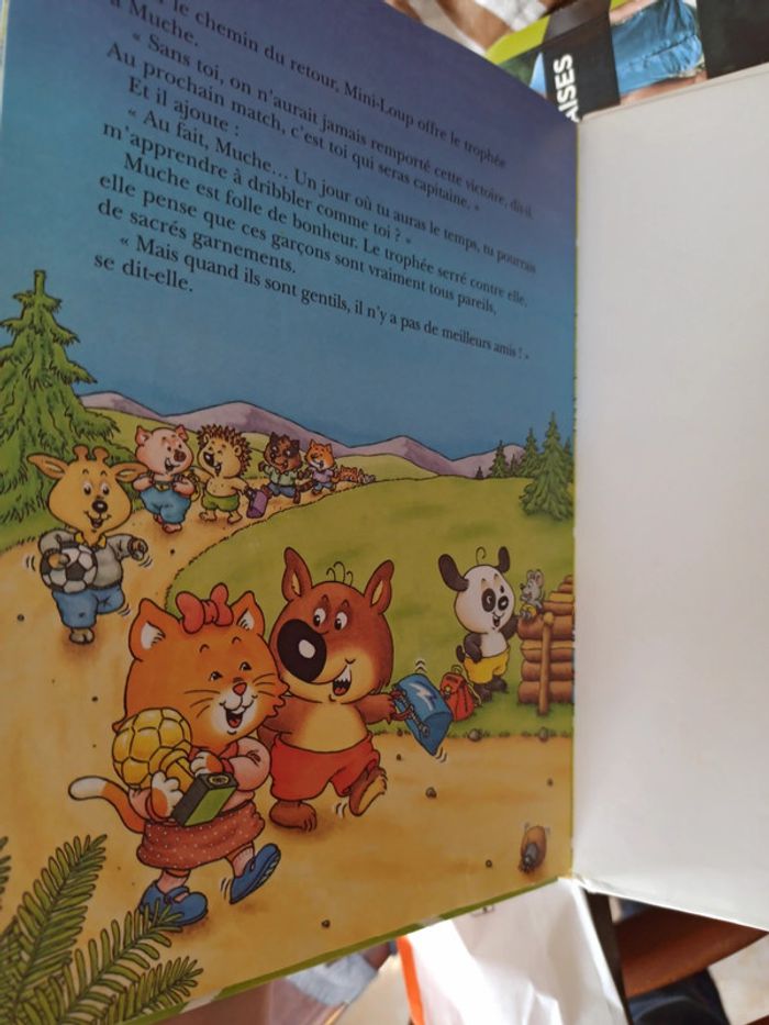 Livre Mini-Loup champion de foot - photo numéro 5