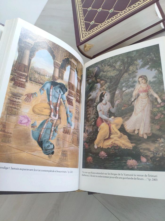 Lot de 5 tomes les grands classiques de l'Inde Bhagavad gita bhakti yoga Krishna Srimad Bhagavatam - photo numéro 16