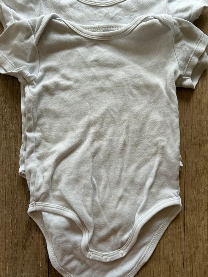 Lot 3 bodies manches courtes 12 mois - photo numéro 3