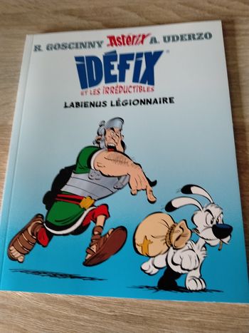 Idéfix et les irréductibles 