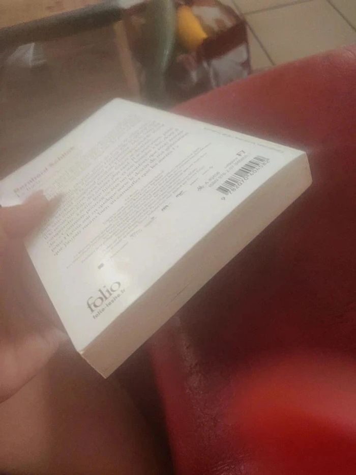 Le liseur The Reader De Bernhard Schlink - photo numéro 6