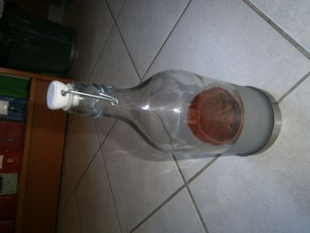 Bouteille en verre pour une plante
