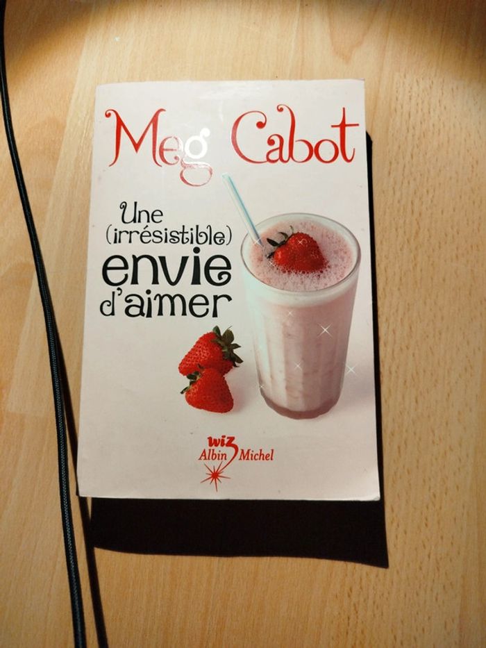 Une irrésistible envie d'aimer roman