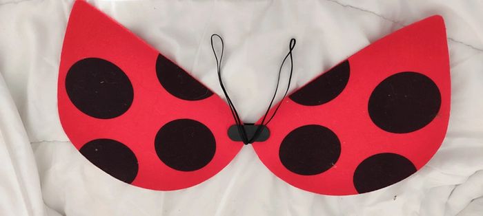 Superbes ailes de coccinelle déguisement enfant