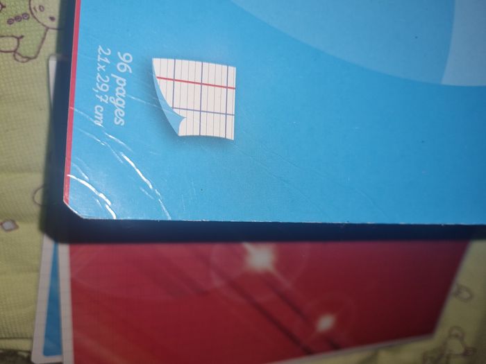 Lot de 3 cahiers + protèges cahier - photo numéro 4