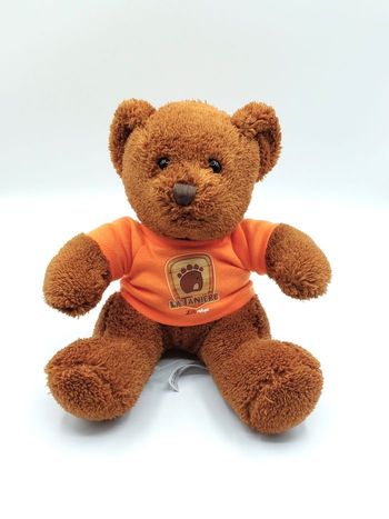 Peluche doudou ours marron zoo refuge la Tanière Minifeet tee-shirt orange 20 cm