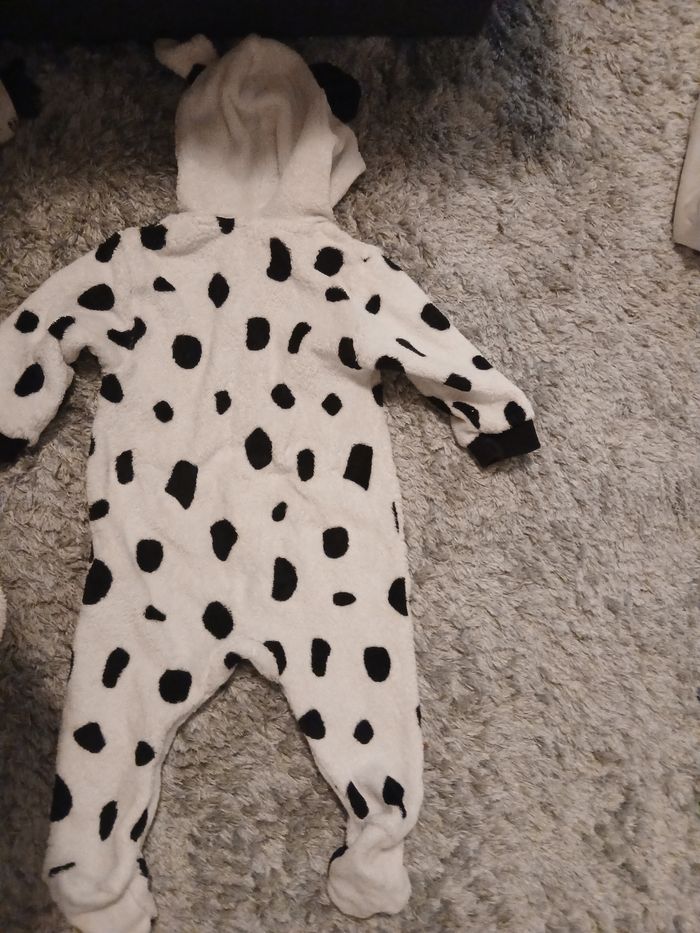 Ensemble dalmatien - photo numéro 2