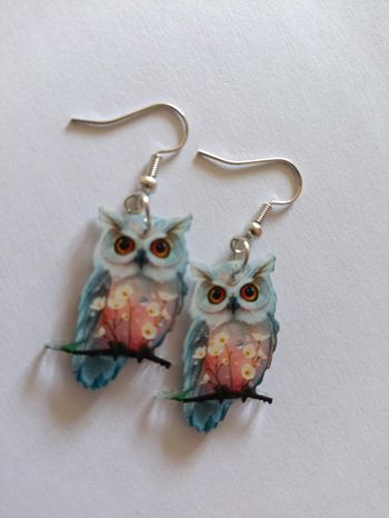 boucles d'oreilles hiboux acrylique neuf Neuf sans étiquette