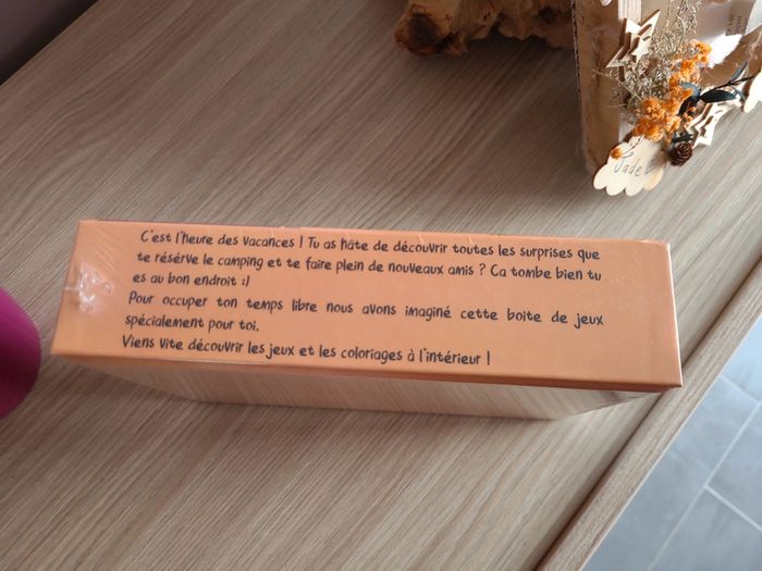 Boite de jeux pour le camping - photo numéro 2