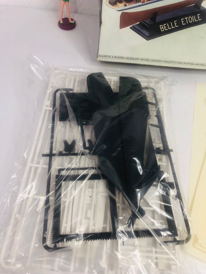 Belle étoile Heller - photo numéro 3