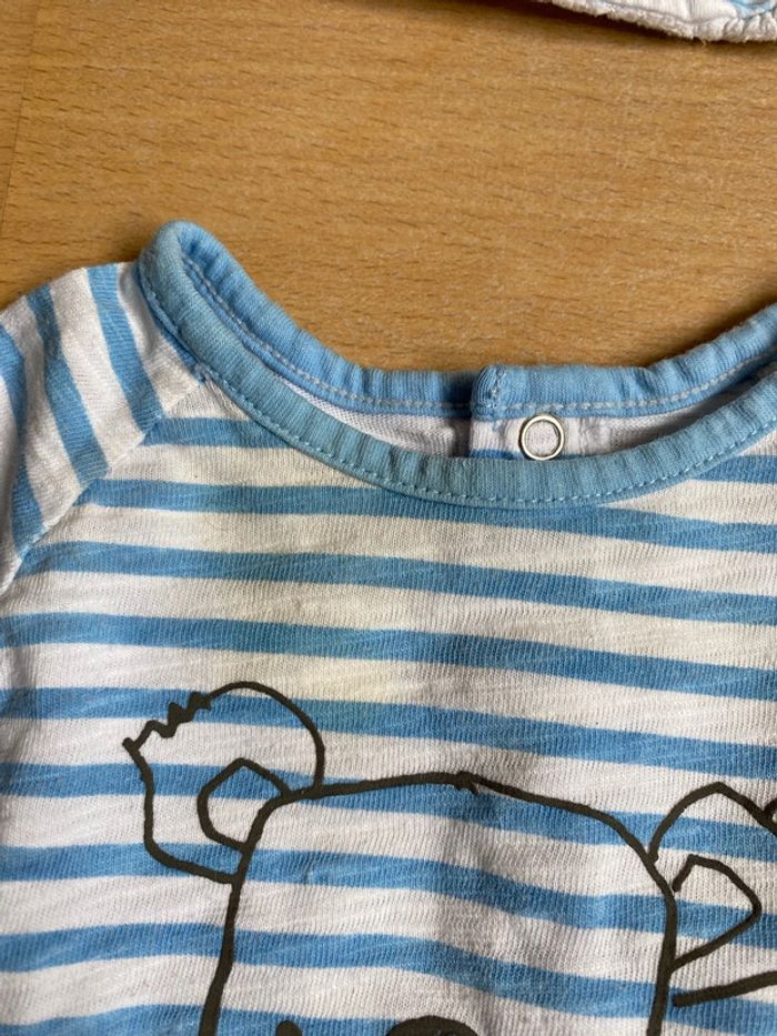 Ensemble koala - photo numéro 8