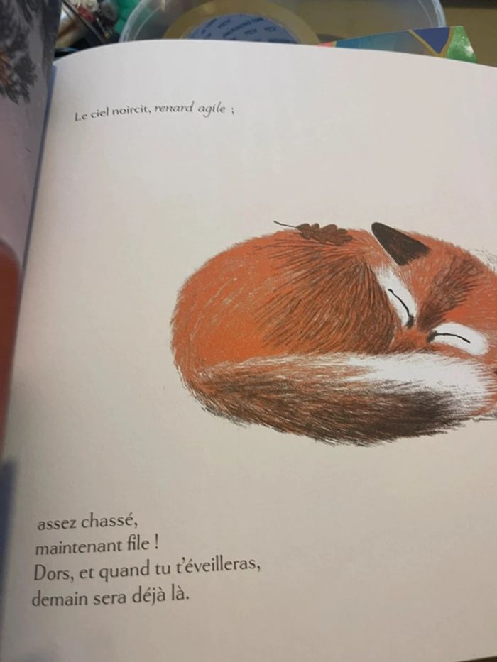 Livre école des loisirs au bois dormant - photo numéro 2