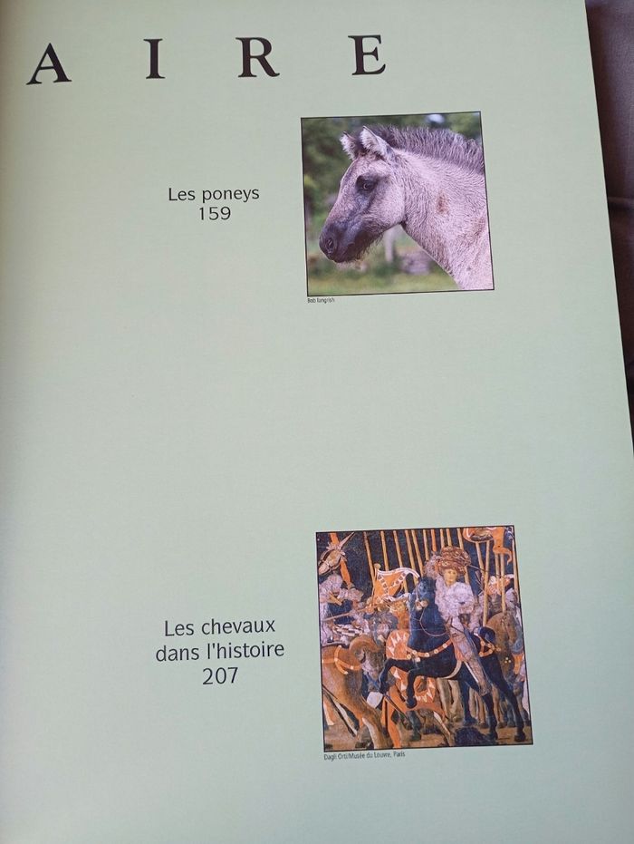 Les plus beaux chevaux du monde de - photo numéro 4