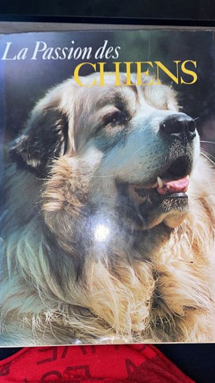 La passion des chiens