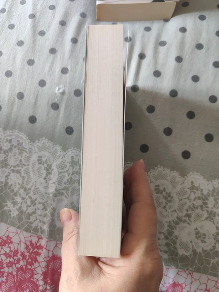 Le dernier Lapon - photo numéro 4