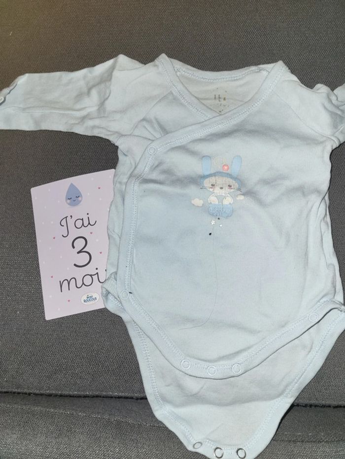 Lot 2 bodies TeX lapin