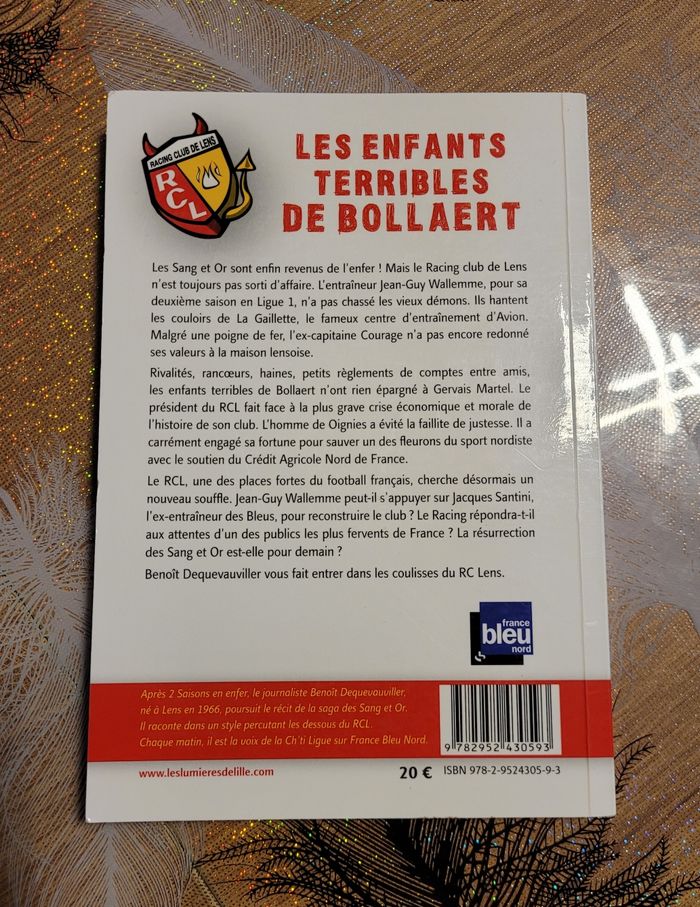 Les enfants terribles de Bollaert Benoît Dequevauviller - photo numéro 2