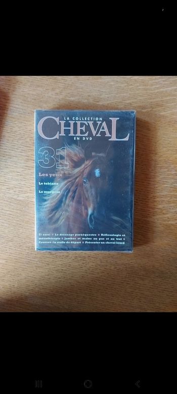 DVD