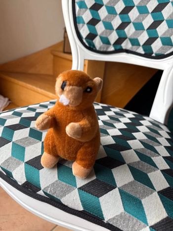 Peluche porte clé marmotte