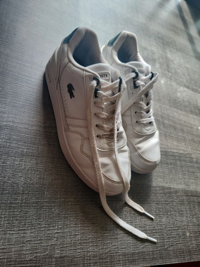 Basket lacoste