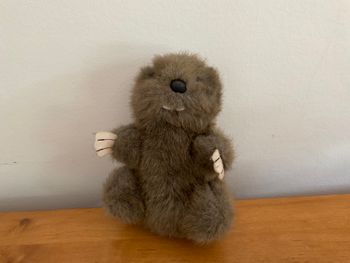 Peluche Marmotte