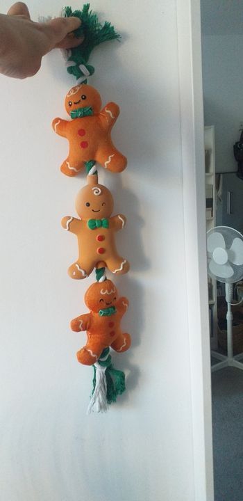 Pain d'épices décoration Noël