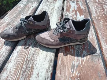 Basket GEOX femme pointure 36