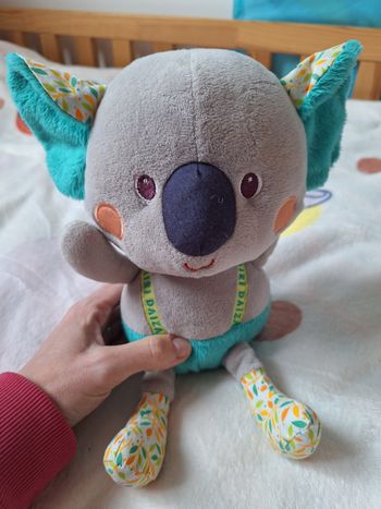 KOALA LILLIPUTIENS PAIRI DAIZA 