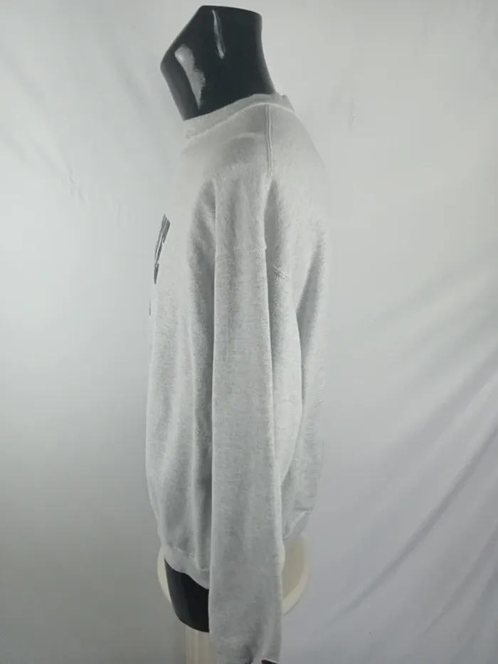 Sweat - sweatshirt - sudadera - pullover - sweater - felpa - Champion Vintage - photo numéro 2